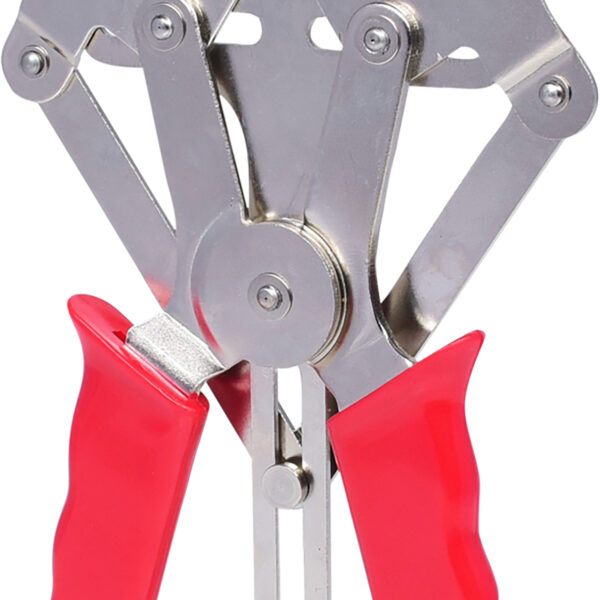 FOT_PRO_VAR_150.1175.2_SALL_AING_V1