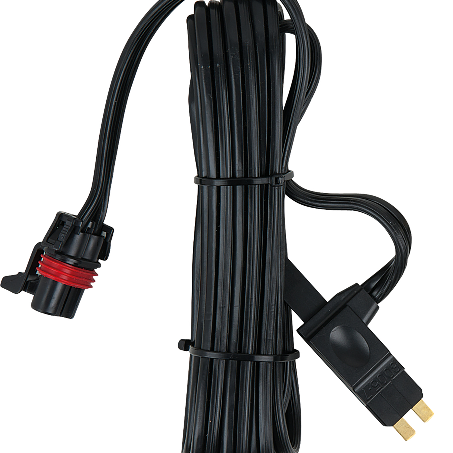 FOT_PRO_ALG_AUTO_150.0994_SALL_AING_V1