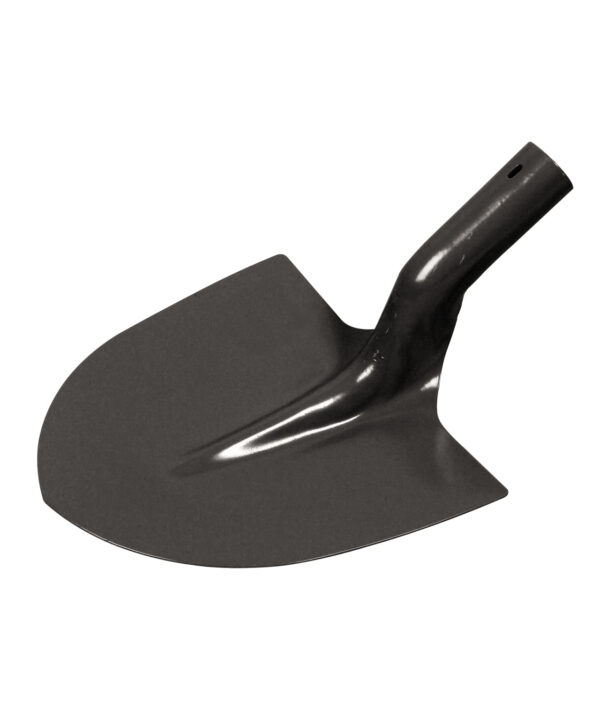 FOT_PRO_ALG_WZAL_144.080X(1-3)_SALL_AING_V1