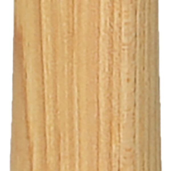 FOT_PRO_ALG_142.5314_SALL_AING_V1