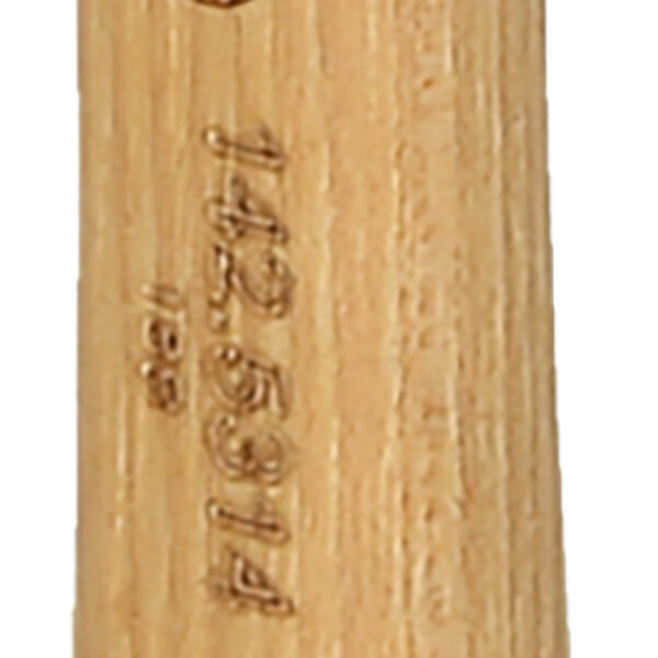 FOT_PRO_VAR_142.5314.2_SALL_AING_V1