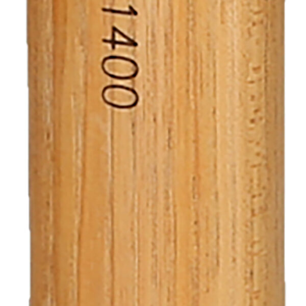 FOT_PRO_ALG_142.5310_SALL_AING_V1