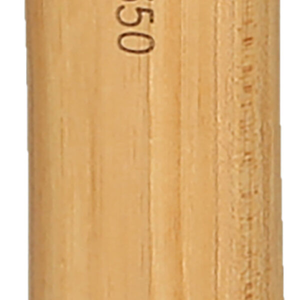 FOT_PRO_ALG_142.5308_SALL_AING_V1