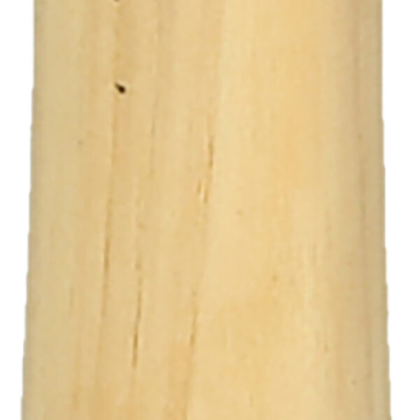 FOT_PRO_VAR_142.5306.2_SALL_AING_V1