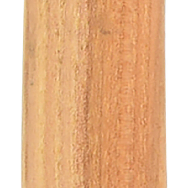 FOT_PRO_ALG_142.5301_SALL_AING_V1