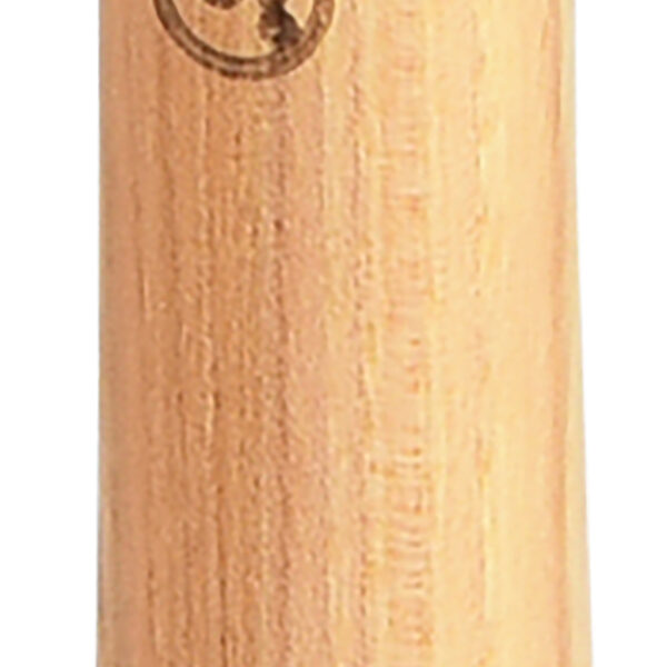 FOT_PRO_VAR_142.5301.2_SALL_AING_V1