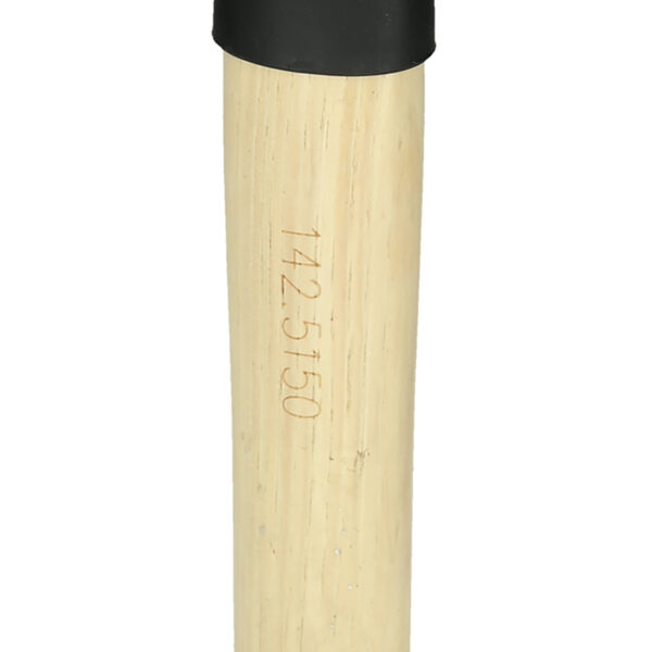 FOT_PRO_ALG_142.5150_SALL_AING_V1