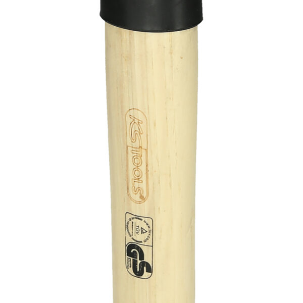 FOT_PRO_VAR_142.5150.2_SALL_AING_V1