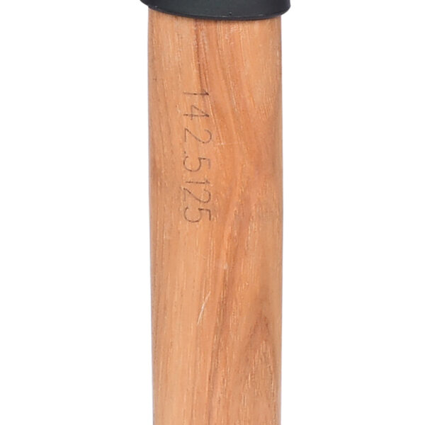 FOT_PRO_ALG_142.5125_SALL_AING_V1