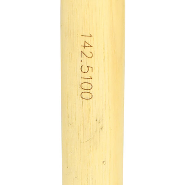 FOT_PRO_ALG_142.5100_SALL_AING_V1