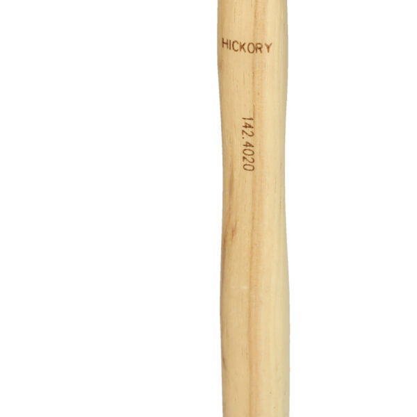 FOT_PRO_ALG_142.4020_SALL_AING_V1