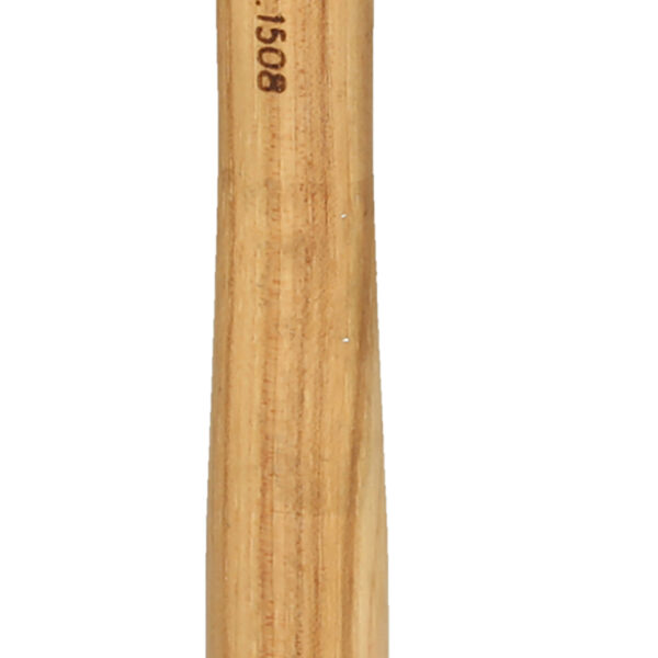 FOT_PRO_ALG_142.1508_SALL_AING_V1