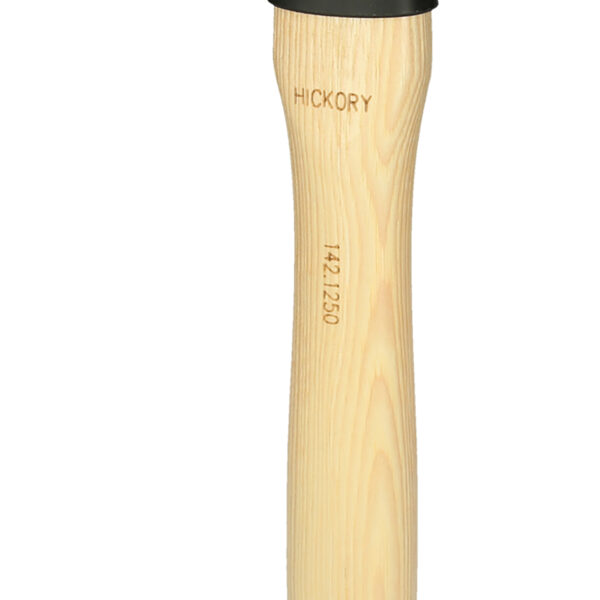 FOT_PRO_ALG_142.1250_SALL_AING_V1