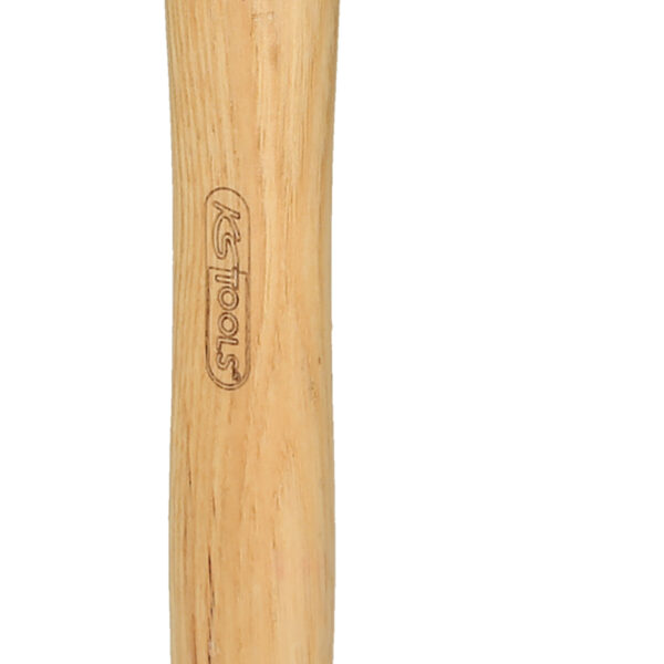 FOT_PRO_VAR_142.1100.2_SALL_AING_V1