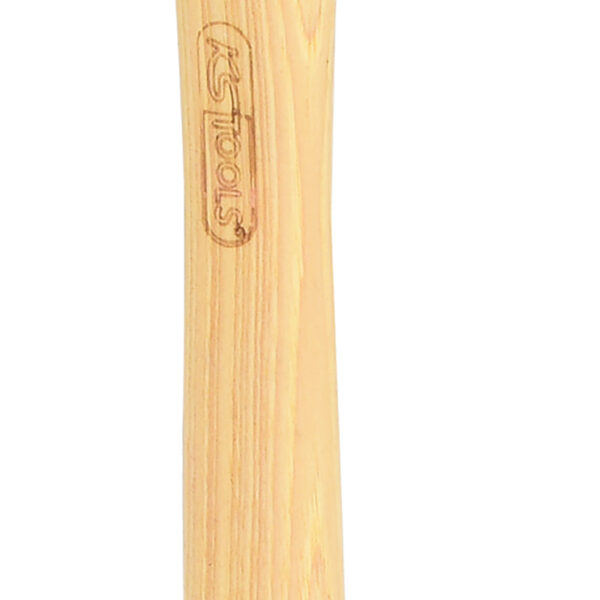 FOT_PRO_VAR_142.1030.2_SALL_AING_V1