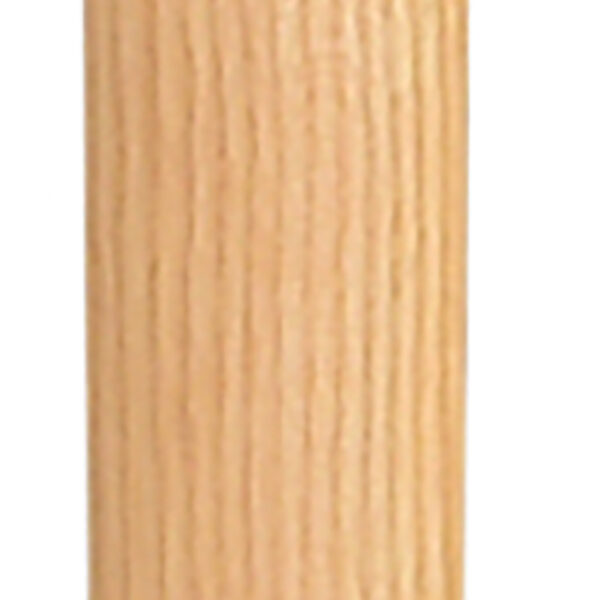 FOT_PRO_ALG_140.5330_SALL_AING_V1