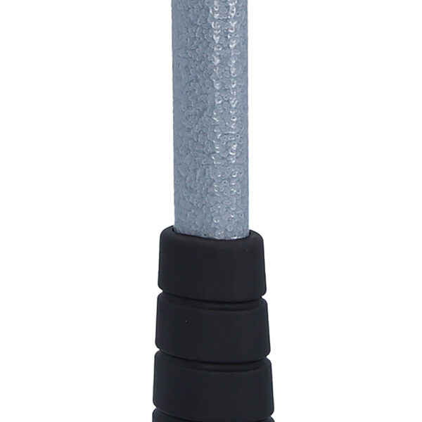 FOT_PRO_ALG_140.5271_SALL_AING_V1