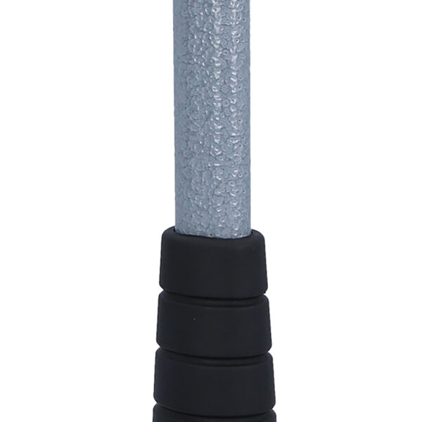 FOT_PRO_VAR_140.5271.2_SALL_AING_V1