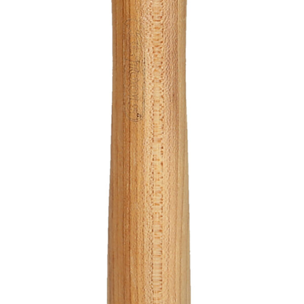 FOT_PRO_VAR_140.5212.2_SALL_AING_V1