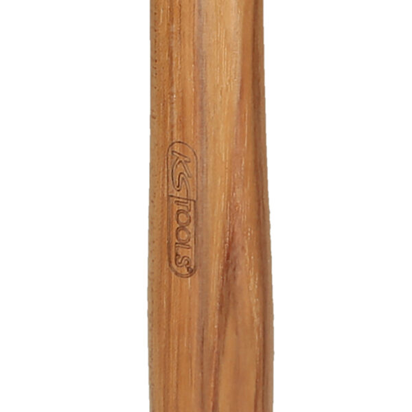 FOT_PRO_VAR_140.5202.2_SALL_AING_V1