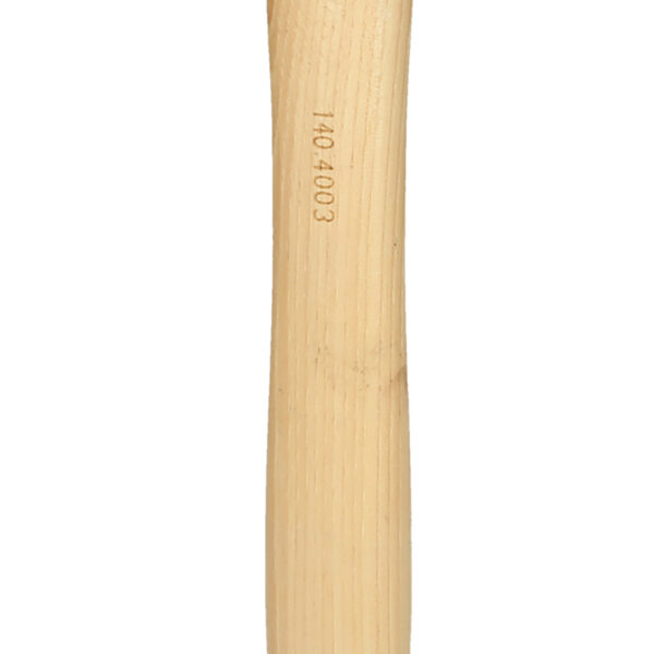 FOT_PRO_ALG_140.4003_SALL_AING_V1