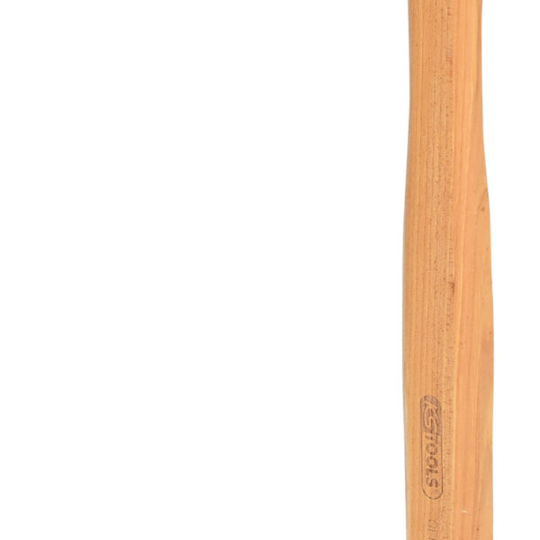 FOT_PRO_VAR_140.2461.2_SALL_AING_V1