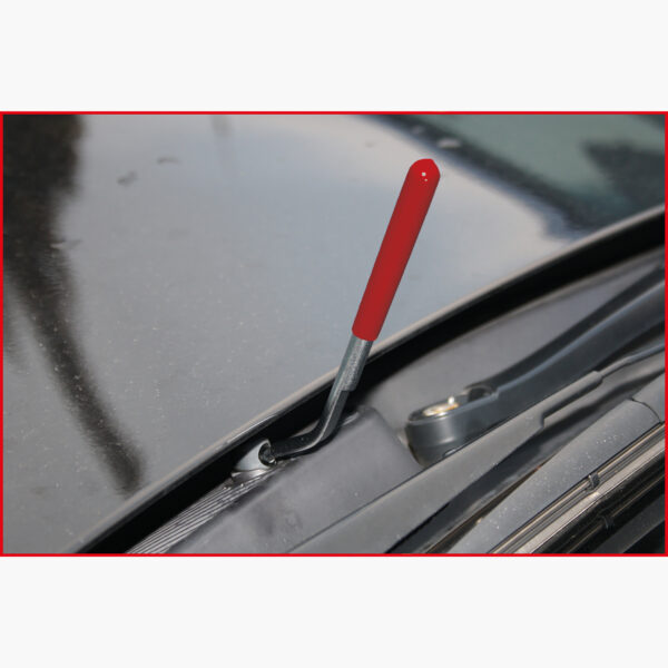 FOT_ANW_ALG_AUTO_140.2359.AW1_SALL_AING_V1