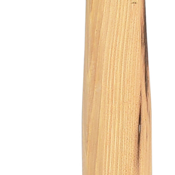 FOT_PRO_ALG_140.2204_SALL_AING_V1