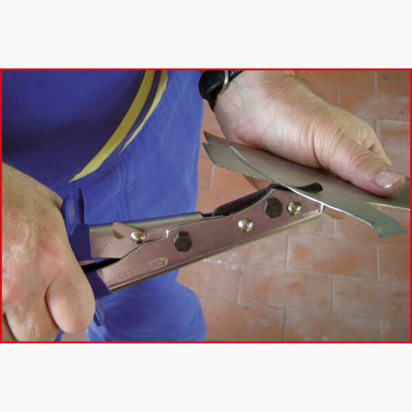 FOT_ANW_ALG_ZA_140.2175.AW1_SALL_AING_V1