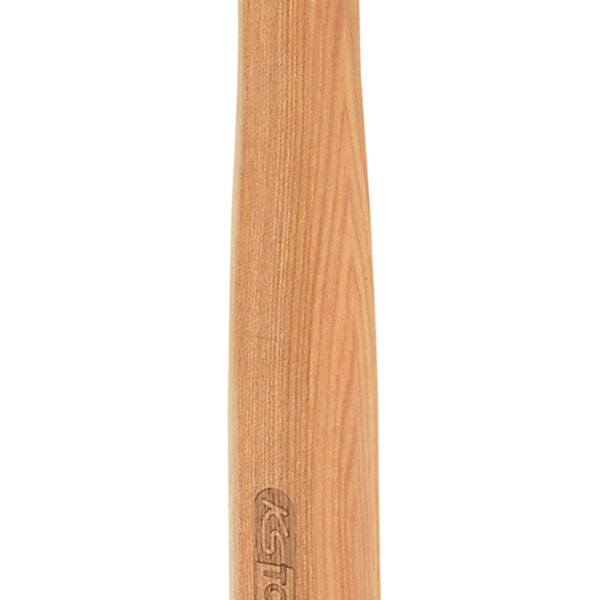 FOT_PRO_VAR_140.2139.2_SALL_AING_V1