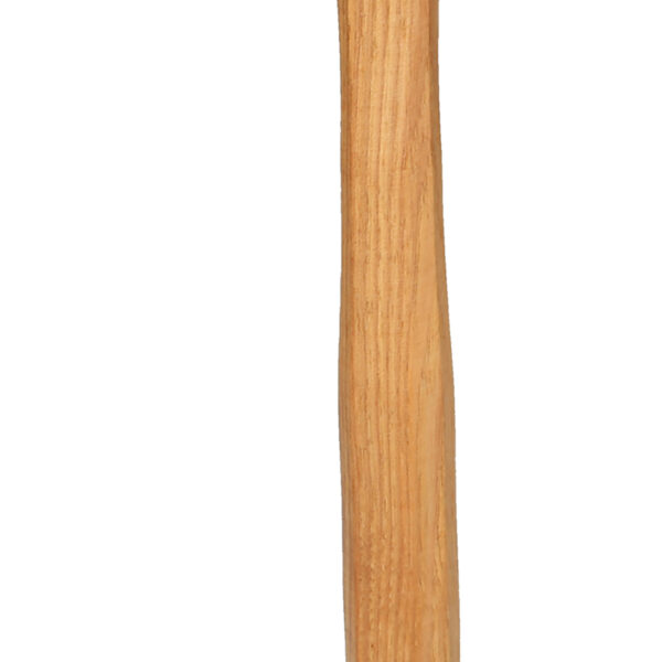 FOT_PRO_ALG_140.2136_SALL_AING_V1