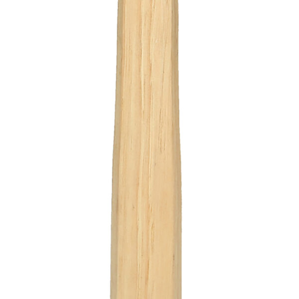 FOT_PRO_ALG_140.2133_SALL_AING_V1