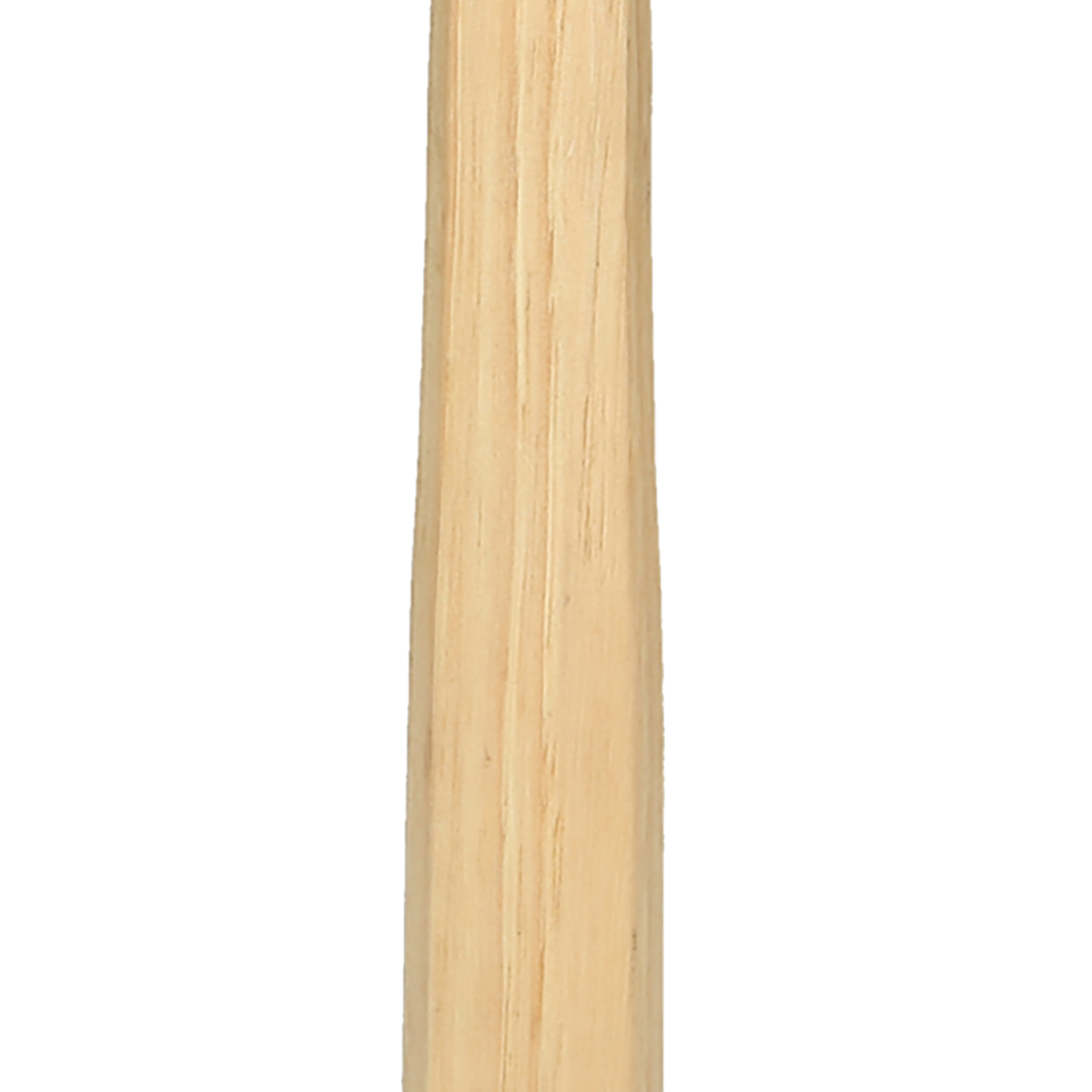 FOT_PRO_ALG_140.2133_SALL_AING_V1