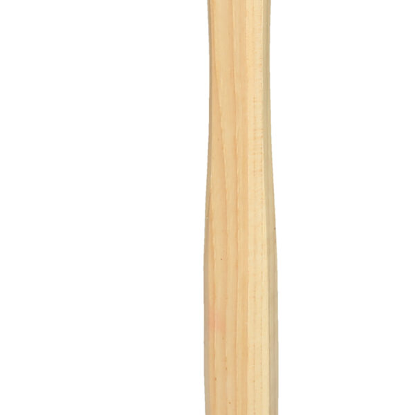 FOT_PRO_ALG_140.2131_SALL_AING_V1