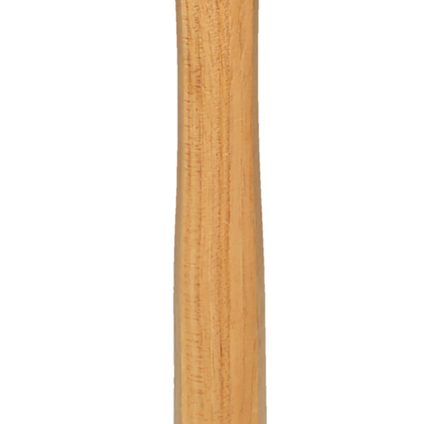 FOT_PRO_ALG_140.2130_SALL_AING_V1