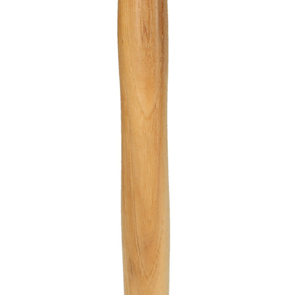 FOT_PRO_ALG_140.2121_SALL_AING_V1