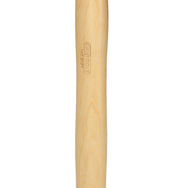 FOT_PRO_VAR_140.2121.2_SALL_AING_V1