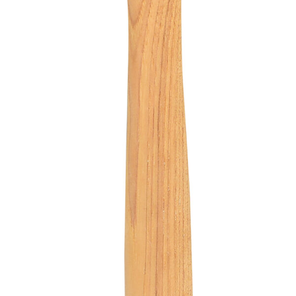 FOT_PRO_VAR_140.2109.2_SALL_AING_V1