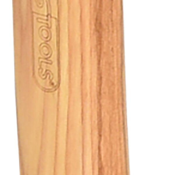 FOT_PRO_VAR_140.2069.2_SALL_AING_V1