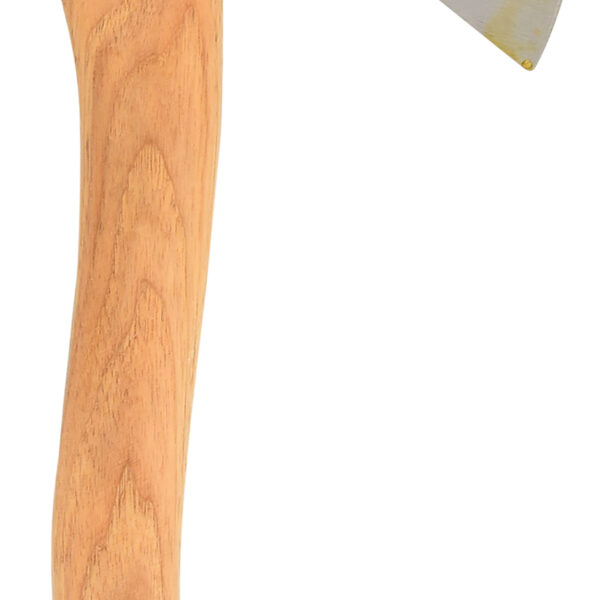 FOT_PRO_ALG_140.2063_SALL_AING_V1