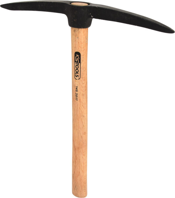 FOT_PRO_VAR_140.2017.2_SALL_AING_V1