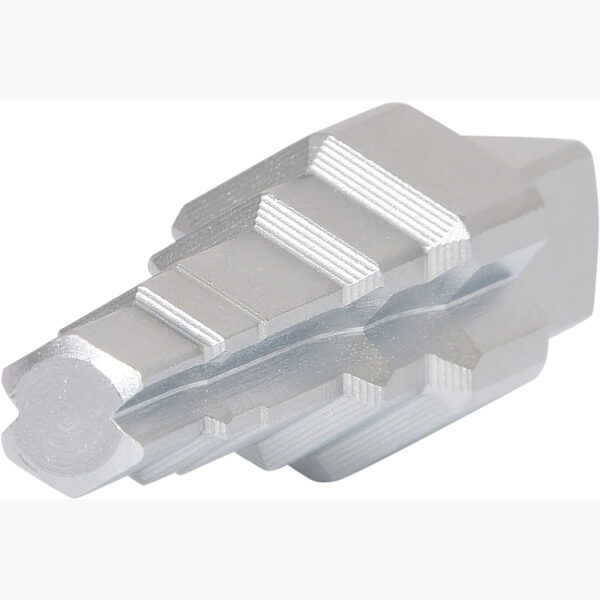 FOT_PRO_ALG_130.2000_SALL_AING_V1