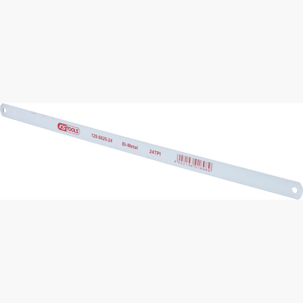 FOT_PRO_ALG_129.6620-24_SALL_AING_V1