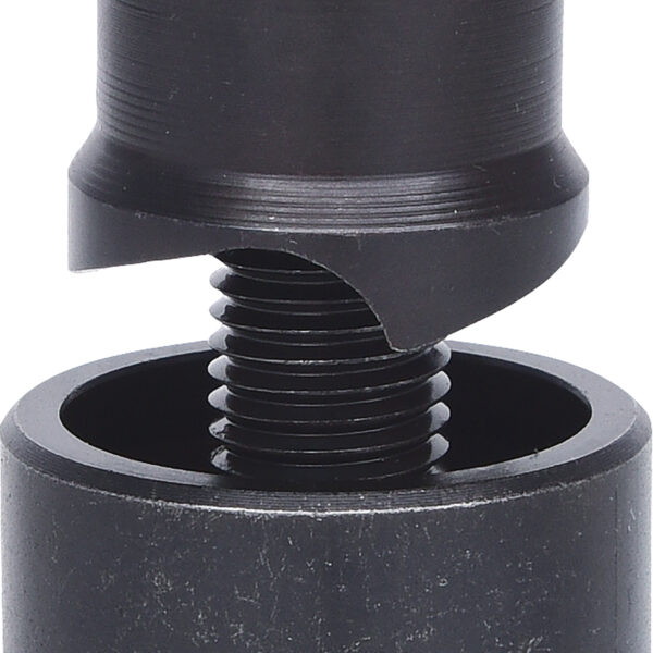 FOT_PRO_VAR_129.0026.6_SALL_AING_V1