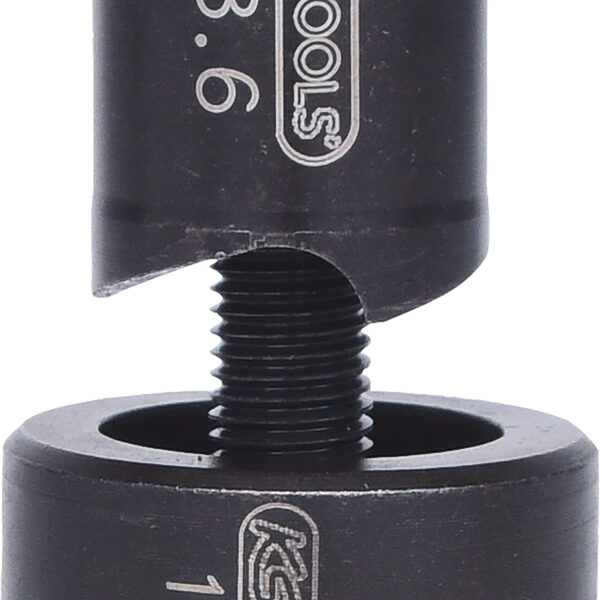 FOT_PRO_VAR_129.0018.4_SALL_AING_V1