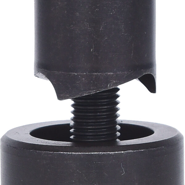 FOT_PRO_VAR_129.0018.6_SALL_AING_V1