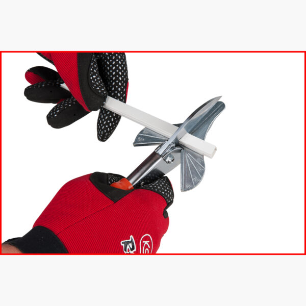 FOT_ANW_ALG_SCHESAE_123.0075.AW2_SALL_AING_V1