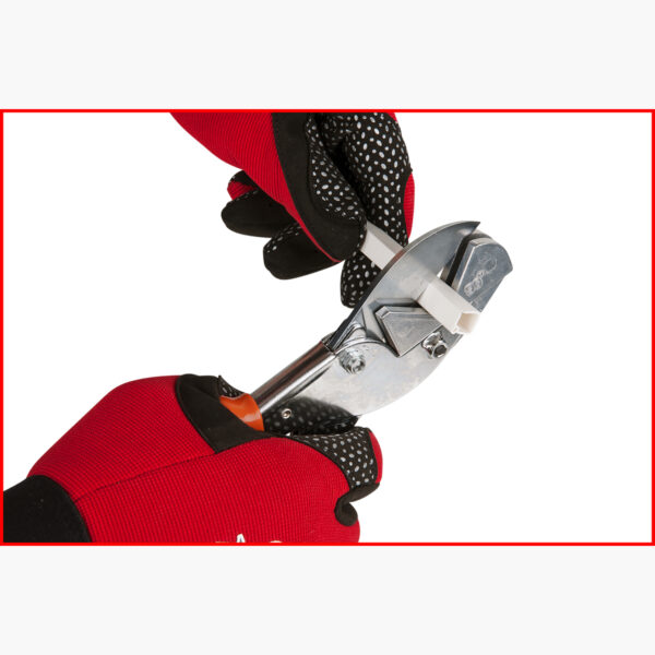 FOT_ANW_ALG_SCHESAE_123.0075.AW3_SALL_AING_V1