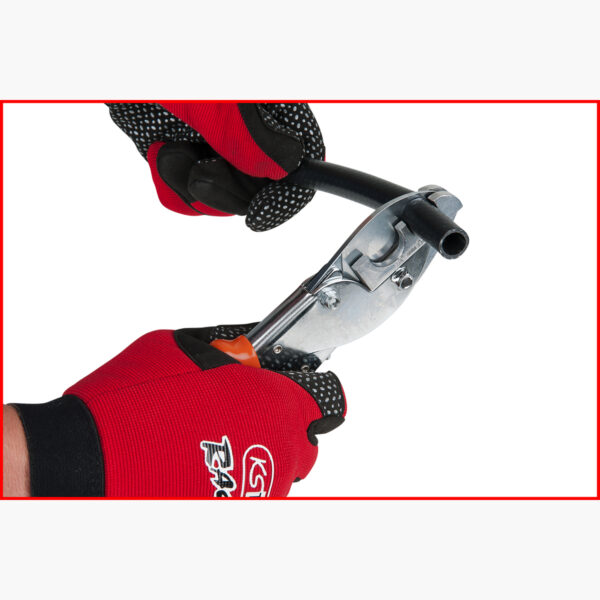 FOT_ANW_ALG_SCHESAE_123.0075.AW5_SALL_AING_V1