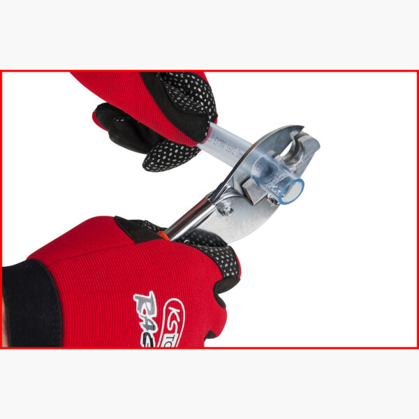 FOT_ANW_ALG_SCHESAE_123.0075.AW6_SALL_AING_V1